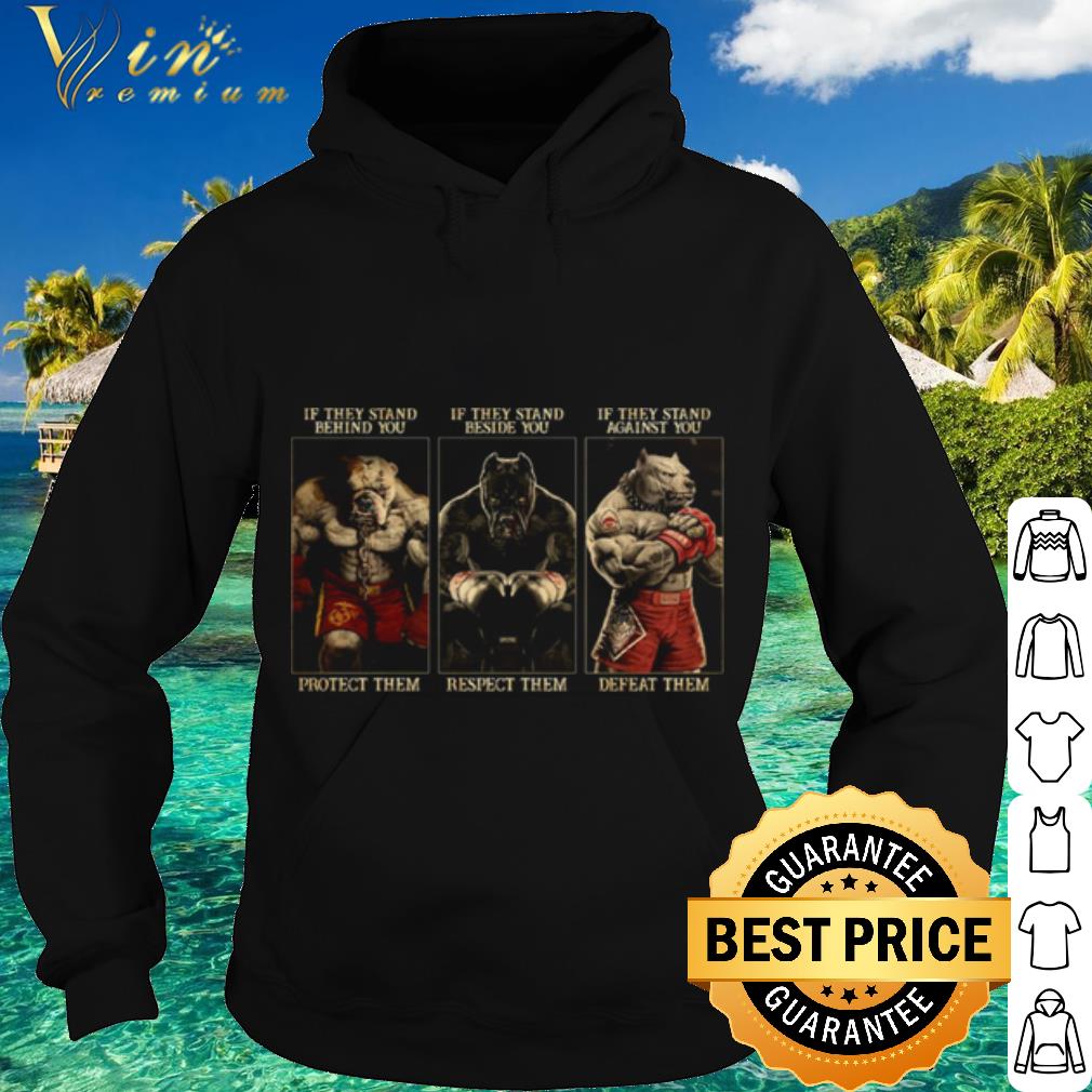 Best Pitbull Boxing Protect Respect Defeat If They Stand Behind You shirt