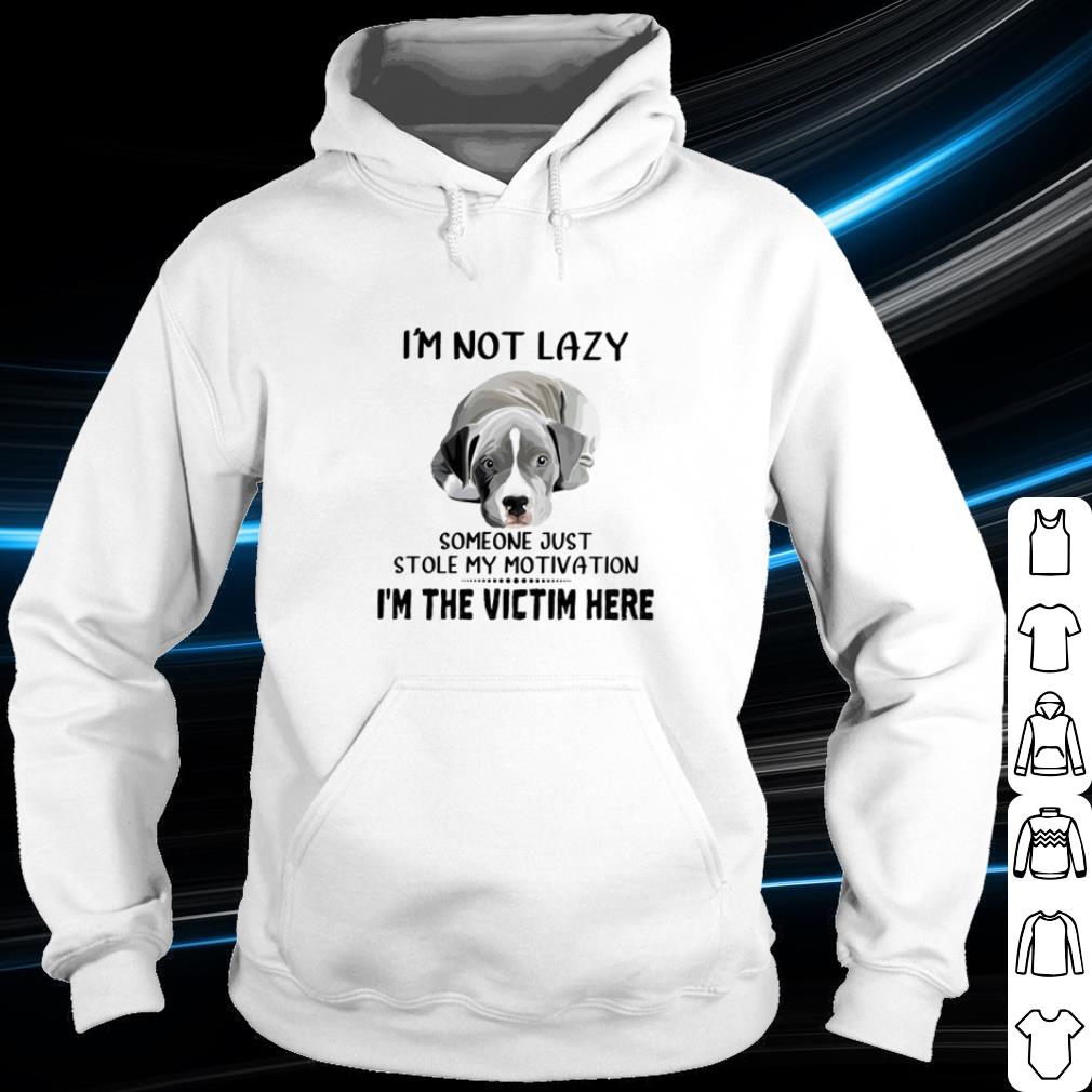 Nice I'm Not Lazy Someone Just Stole My Motivation I'm The Victim Here shirt