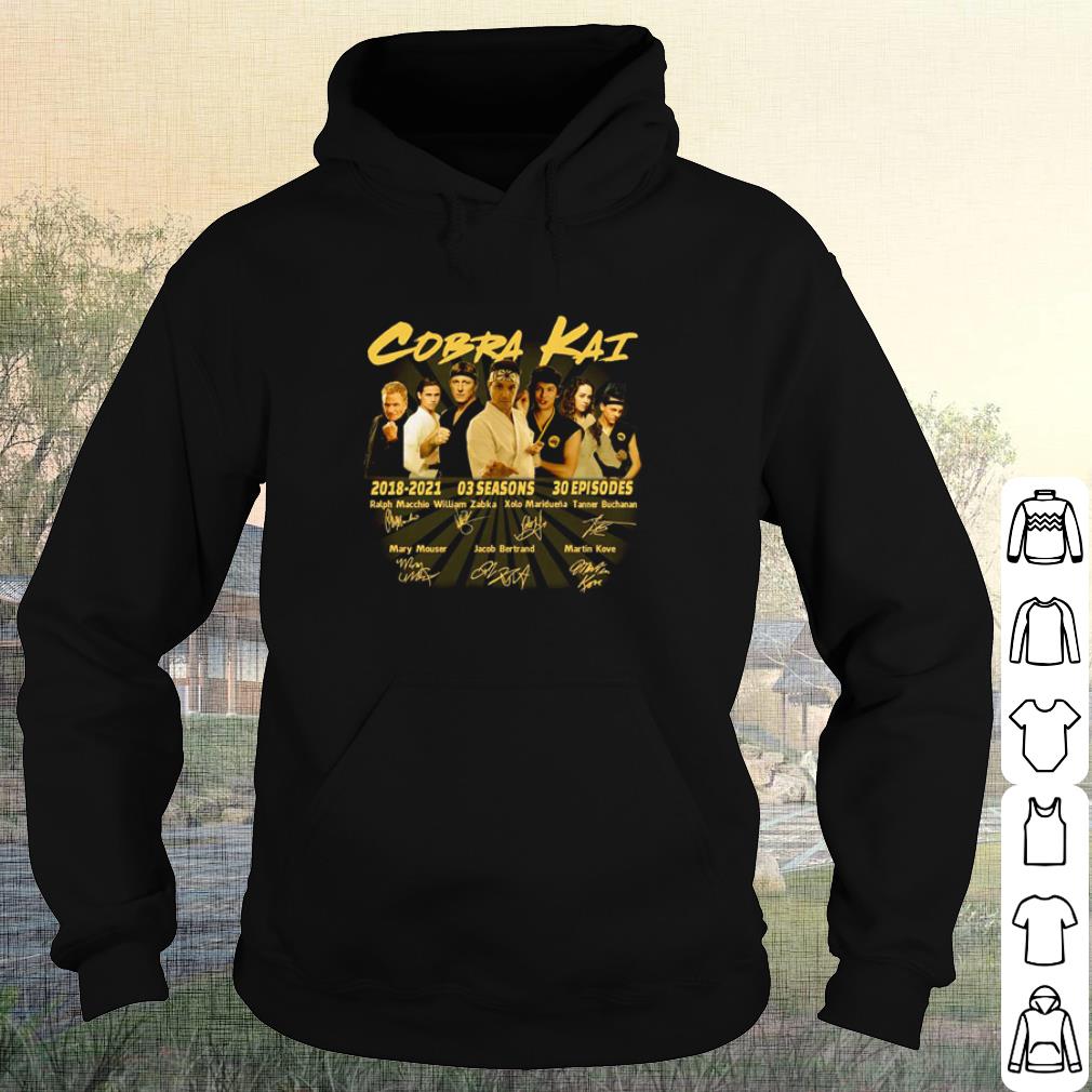 Best Cobra Kai 2018 2021 3 Seasons 30 Episodes Signature shirt