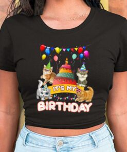 Cat Day Shirt, Cat It's My Birthday Shirt, It's My Birthday Cat For Men Shirt 5