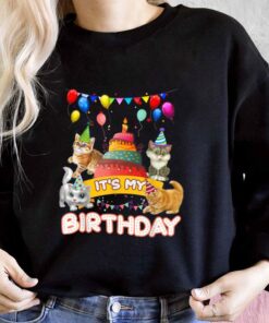 Cat Day Shirt, Cat It's My Birthday Shirt, It's My Birthday Cat For Men Shirt 6