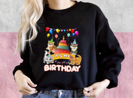 Cat Day Shirt, Cat It's My Birthday Shirt, It's My Birthday Cat For Men Shirt 3