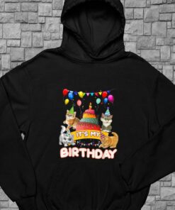 Cat Day Shirt, Cat It's My Birthday Shirt, It's My Birthday Cat For Men Shirt 7