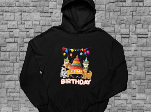 Cat Day Shirt, Cat It's My Birthday Shirt, It's My Birthday Cat For Men Shirt 4