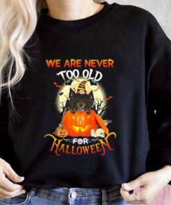 Dachshund Witch Pumpkin We Are Never Too Old For Halloween Shirt, Dachshund Halloween For Men Shirt 6